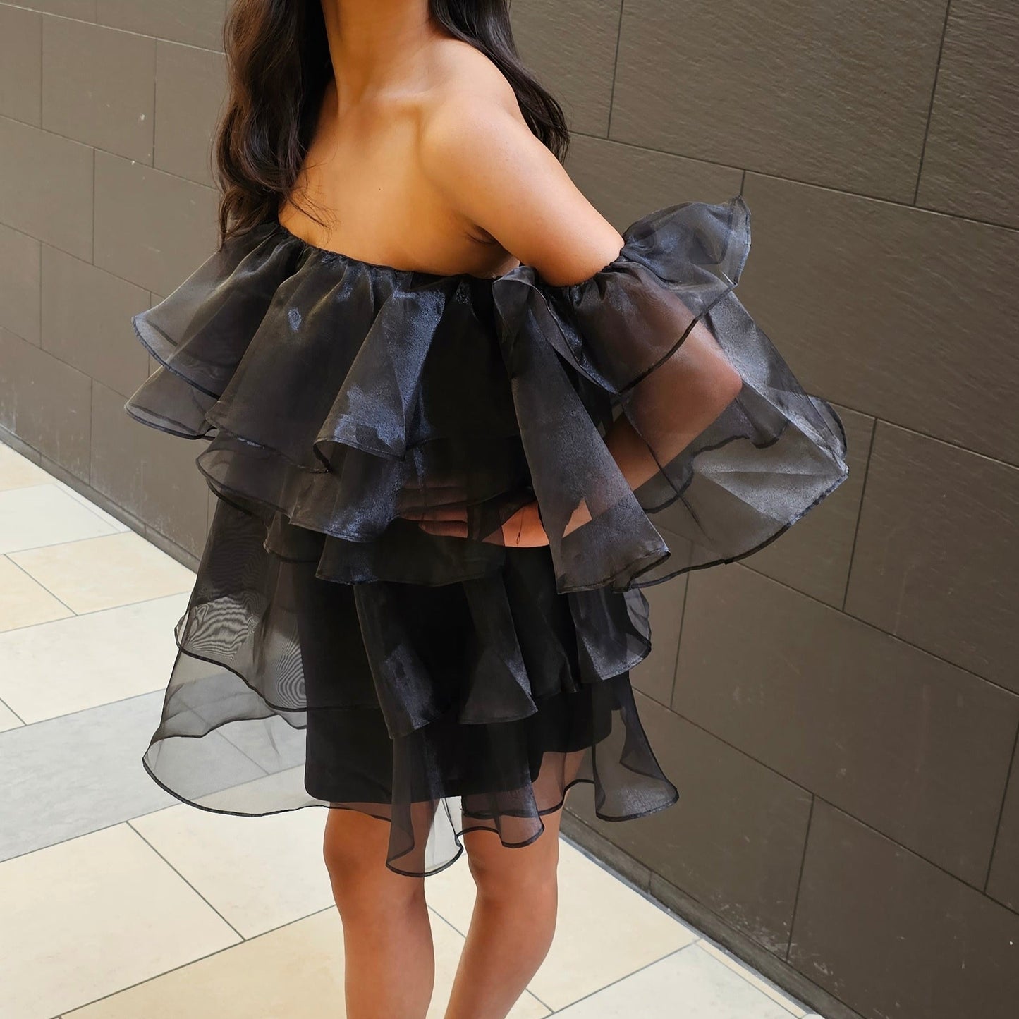 Sheer Ruffle Dress